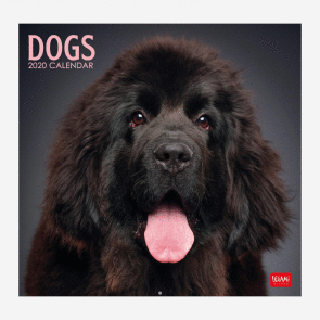 CALENDARIO DE PARED LEGAMI PERROS 2020