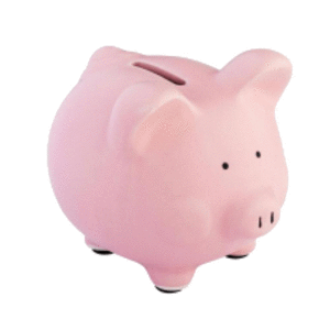 HUCHA CERDITO