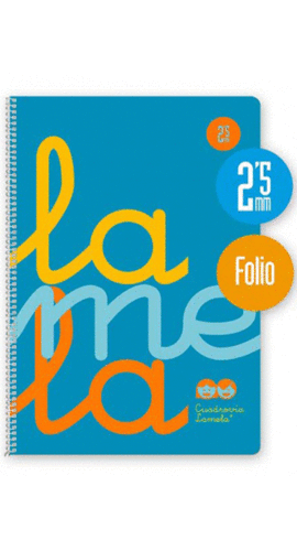BLOCK LAMELA FOLIO 2,5MM 80H AZUL PP 90GR-PACK
