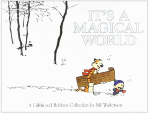 CALVIN AND HOBBES ITS A MAGICAL WORLD