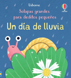 UN DIA DE LLUVIA