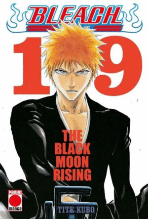 BLEACH BESTSELLER 19