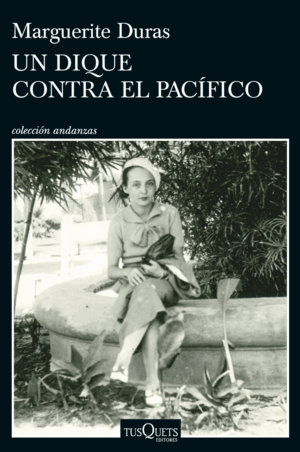UN DIQUE CONTRA EL PACÍFICO