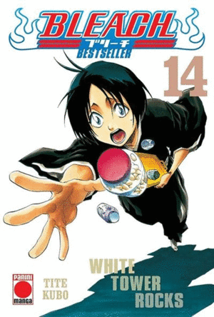 BLEACH BESTSELLER N.14