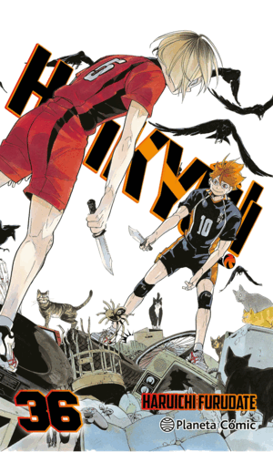 HAIKYU!! 36/45
