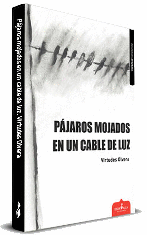 PAJAROS MOJADOS EN UN CABLE DE LUZ