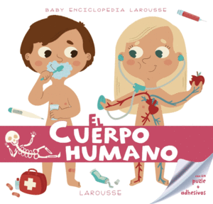 EL CUERPO HUMANO