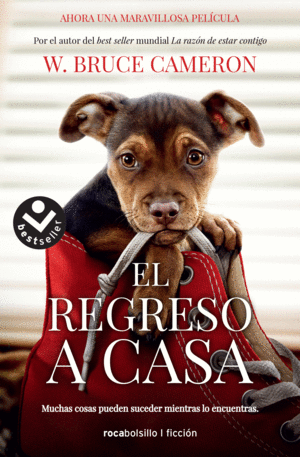 LA RAZÓN DE ESTAR CONTIGO. EL REGRESO A CASA. PORTADA PELÍCULA