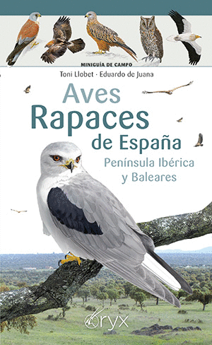 AVES RAPACES DE ESPAÑA, PENINSULA IBERICA Y BALEARES