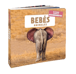 BEBÉS ANIMALES