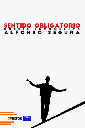 SENTIDO OBLIGATORIO