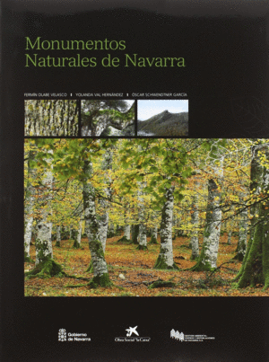 MONUMENTOS NATURALES DE NAVARRA