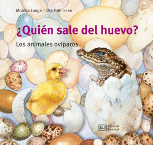 ¿QUIÉN SALE DEL HUEVO?