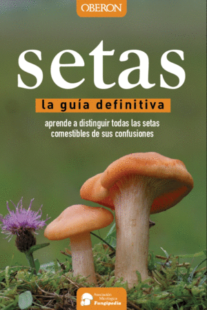 SETAS, GUÍA DEFINITIVA