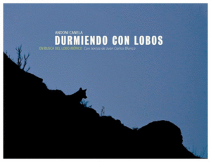 DURMIENDO CON LOBOS : EN BUSCA DEL LOBO IBÉRICO