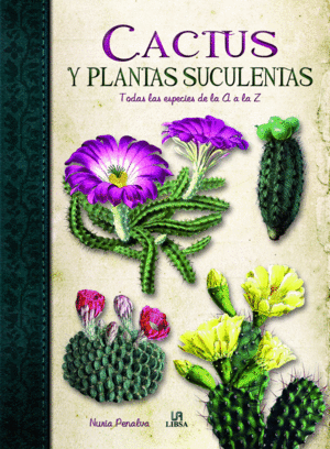 CACTUS Y PLANTAS SUCULENTAS