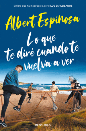 LO QUE TE DIRÉ CUANDO TE VUELVA A VER (EL LIBRO QUE INSPIRÓ LA SE