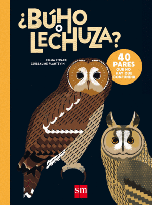 ¿BUHO O LECHUZA?