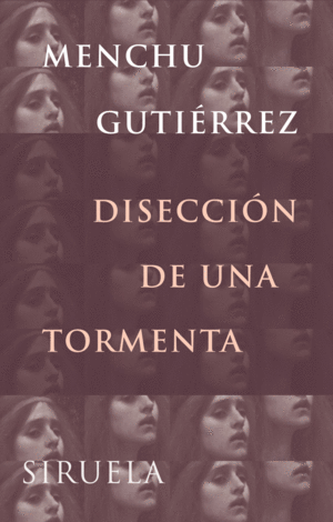 DISECCION DE UNA TORMENTA   LT-199
