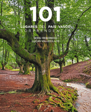 101 DESTINOS DEL PAIS VASCO SORPRENDENTES