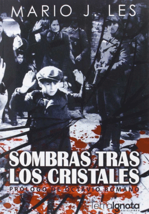 SOMBRAS TRAS LOS CRISTALES