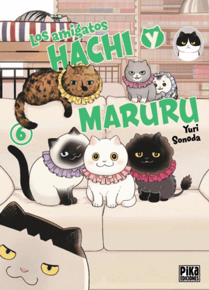 LOS AMIGATOS HACHI