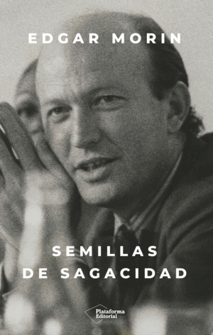 SEMILLAS DE SAGACIDAD
