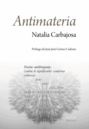 ANTIMATERIA