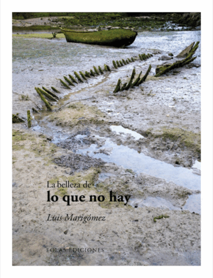 LA BELLEZA DE LO QUE NO HAY